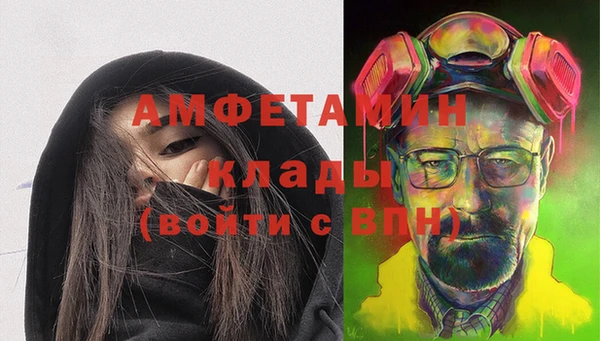тгк Абаза