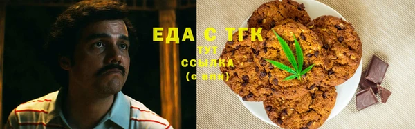 тгк Абаза