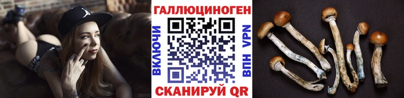hydra ссылка  Терек  Псилоцибиновые грибы прущие грибы 